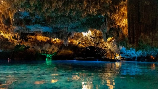 Image of Tulum Cenote Playa del Carmen Tour